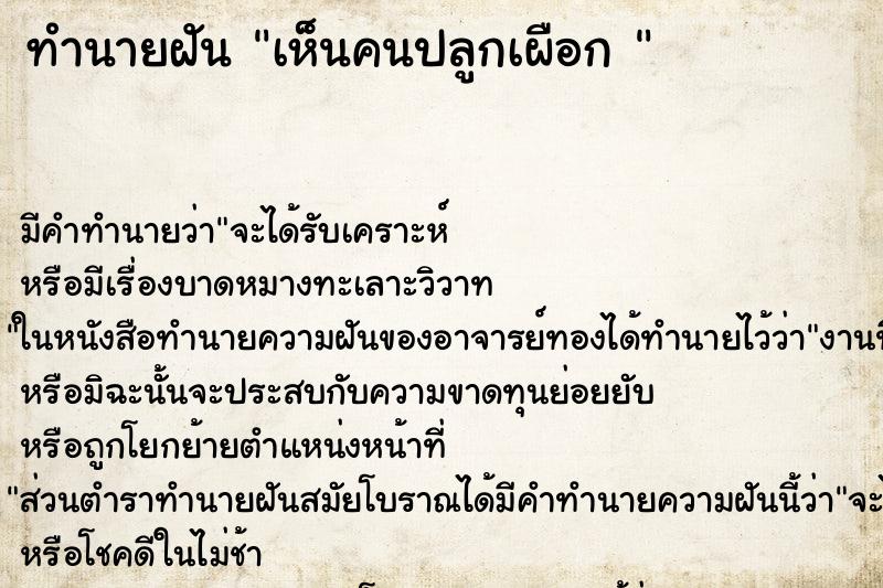 ทำนายฝัน เห็นคนปลูกเผือก 